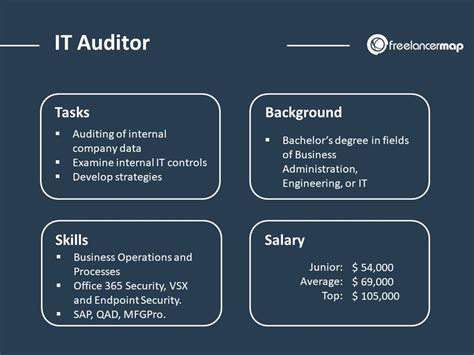 What does an Auditor.